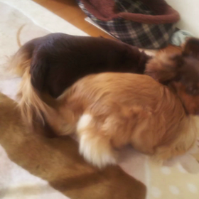 リアン復活！の画像