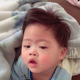 ハイハイの画像