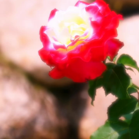 今朝の音活　♡の画像