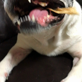 豪快な食べかた…の画像