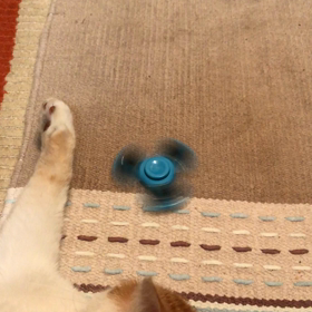 回って回っての画像