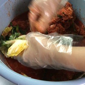 キムチ漬けてヘトヘトの画像