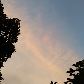 夏ですか…の画像