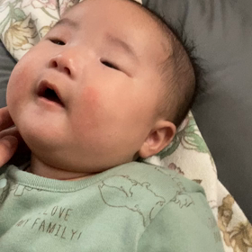 ワンワン。の画像