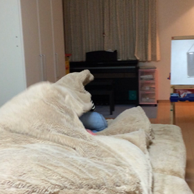 お留守番？の画像