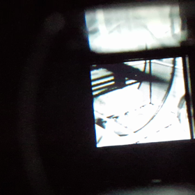 生きエサリポート1【ピンクマウス】の画像