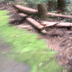 GO  PROが欲しい…の画像