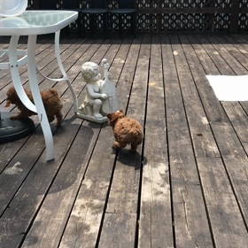 運動の時間ですの画像