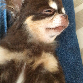 穏やかな時間の画像