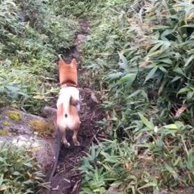 秋ですね、の画像