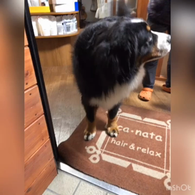 夏のブラブラ禁止！笑    6/12〜予約情報の画像