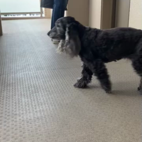 「レオ」に感動の一日 ...の画像