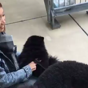 ▶︎されるがままなふぁんたの画像