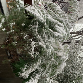 雪の画像