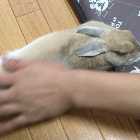 大好きなご主人様の画像