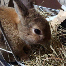 チモチモチモチモ…(๑¯ω¯๑)の画像