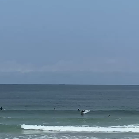 たまには久々に...........の画像