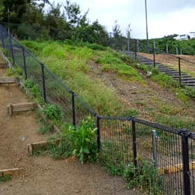 たまにはこんな時もの画像