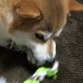 こわいよ！！の画像