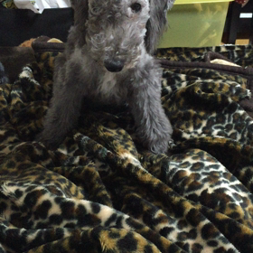 ▶︎stay!の画像