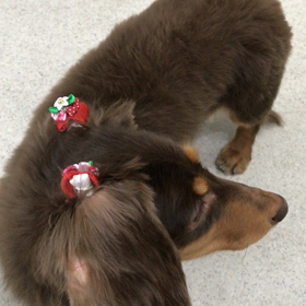 ♪プレイルーム動画♪②の画像