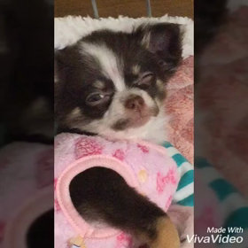 眠い眠いの画像