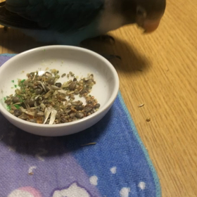 お正月の過ごし方の画像