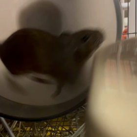 一生懸命って見ていて気持ちいいの画像