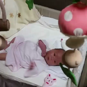 孫8ちゃん、一カ月になりました。の画像