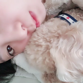 ワンダフルの画像