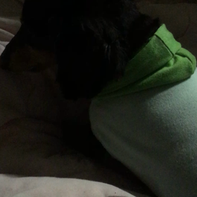 緊急入院の画像