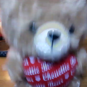 シュエッティーベアの画像