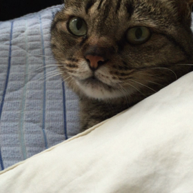 朝から元気の画像