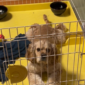 スマホから2の画像