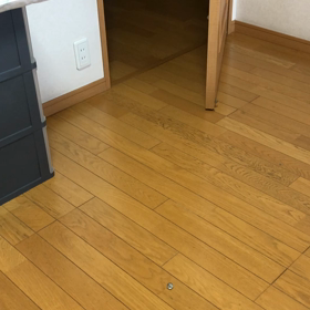 やる気スイッチoffの私とONのデール！の画像