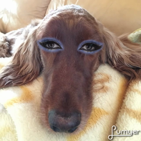 うっふん♡の画像