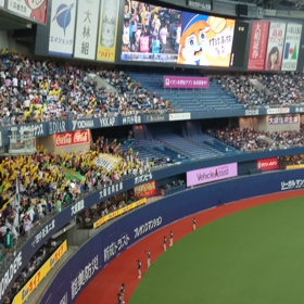 京セラドーム大阪・若鷹軍団の画像