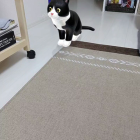 子供の頃、やっていて良かった習い事を教えて！の画像