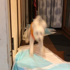 うわ　〰　の画像