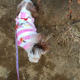 ふんふんふん…！！！の画像