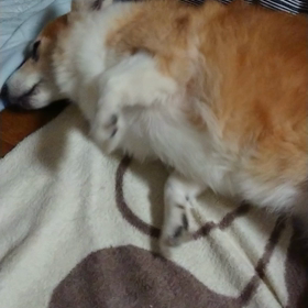 お薬注入！！の画像