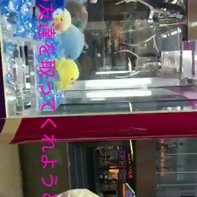 ピーコと私　ﾌﾟﾘﾌﾟﾘ146の画像