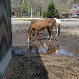 ドロ遊びの画像