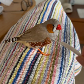 日曜の朝の画像