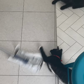 最近のの画像