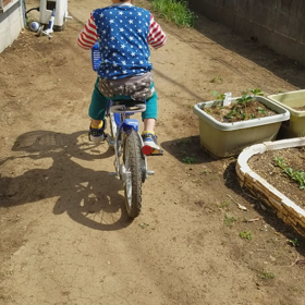 5分で自転車に乗れるようになった息子の画像