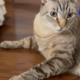 iPhone13Pro シネマティックモードの画像