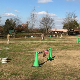 トライアル ②の画像