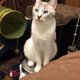  関東地方、雷雨すごしの画像