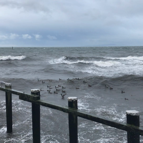 荒れ模様　続きの画像